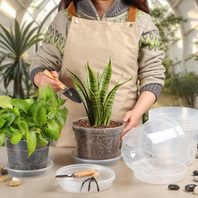 BTPLASTIK multipurpose nursery pot suitable for indoor and outdoor plants