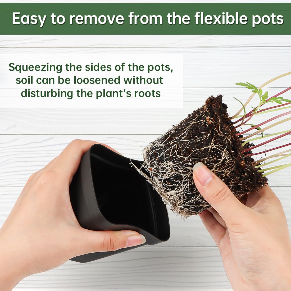 BTPLASTIK nursery pot square design promotes compact, organized shelf space for seedlings.
