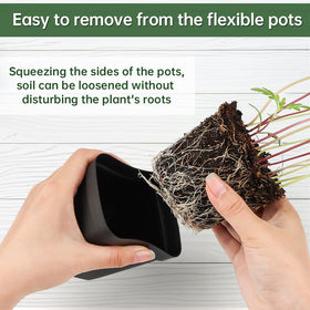 BTPLASTIK nursery pot square design promotes compact, organized shelf space for seedlings.