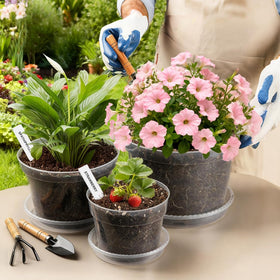 BTPLASTIK plant labels included simplify plant tracking and organization