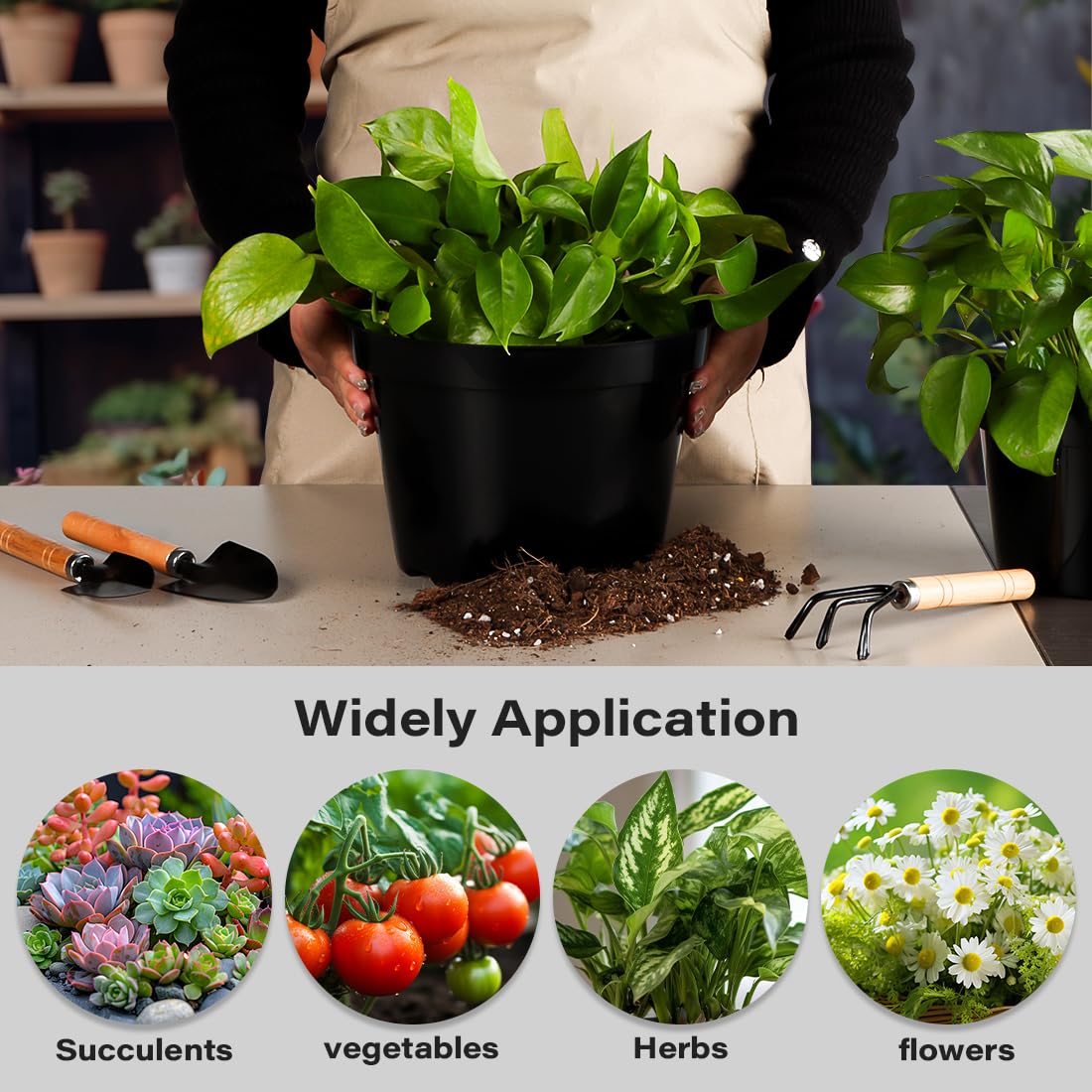 BTPLASTIK plant transplant containers simplify moving seedlings to garden beds.