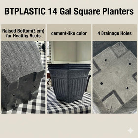 BTPLASTIK raised 2cm base improves drainage and airflow