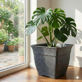 BTPLASTIK retro vintage design complements porches, patios, and living rooms