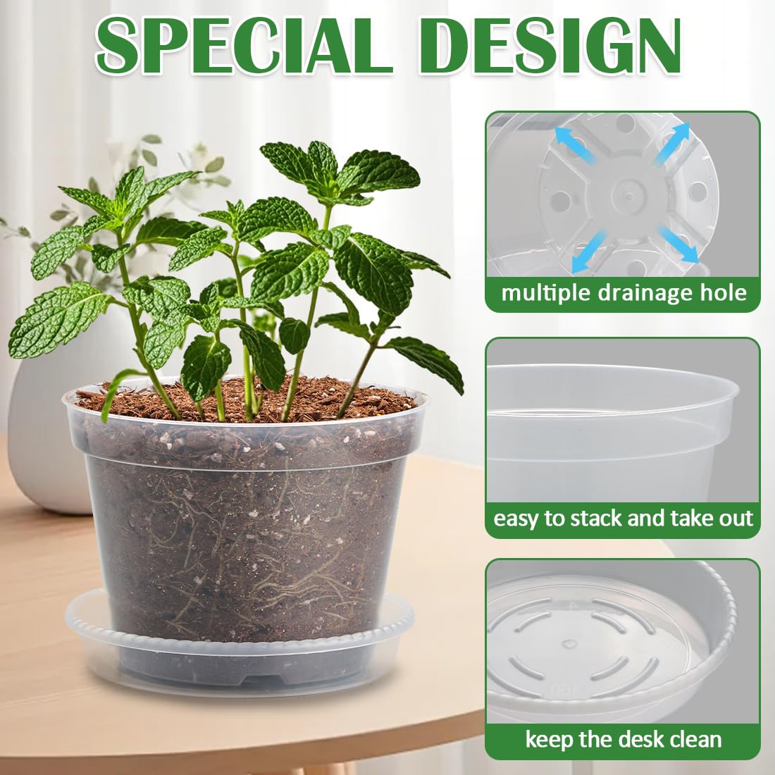 BTPLASTIK root-view pot highlights soil moisture for watering.