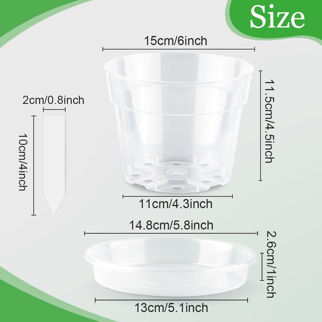 BTPLASTIK seed-start pot shows roots through the clear plastic.