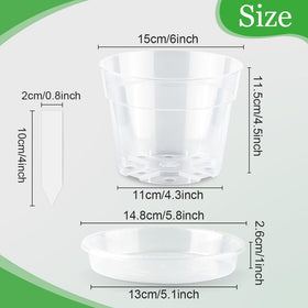 BTPLASTIK seed-start pot shows roots through the clear plastic.