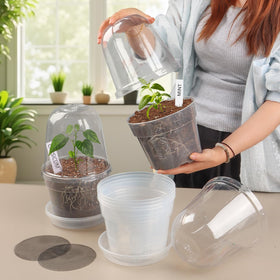 BTPLASTIK seed-starting pot showing visible roots for timely transplant decisions
