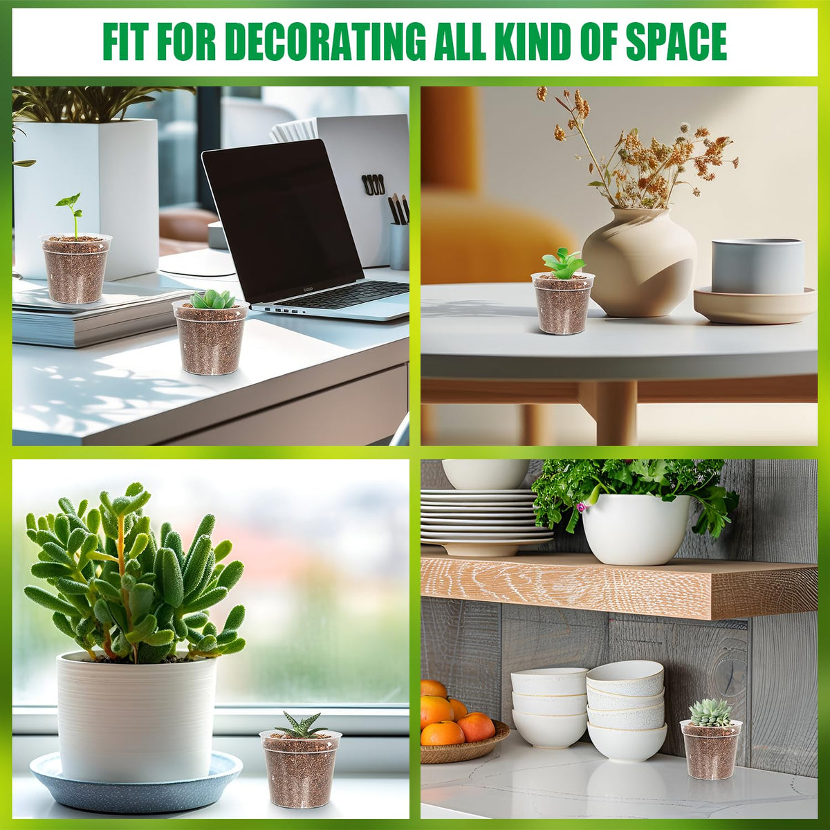 BTPLASTIK 2.5-inch pot ideal for vegetables and small flowers.