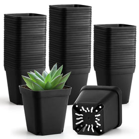 BTPLASTIK small pot with drainage holes for seedlings and cuttings