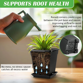 BTPLASTIK Square Planter 1 gallon capacity ideal for compact herbs.