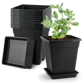 BTPLASTIK Square Planter 8 Inch top view for stylish balcony gardening.