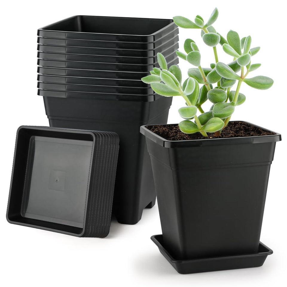 BTPLASTIK Square Planter 8 Inch top view for stylish balcony gardening.