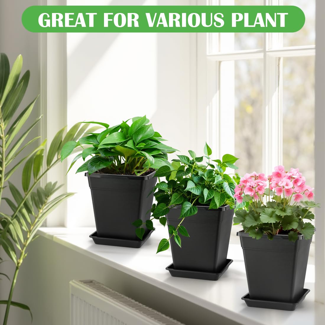 BTPLASTIK Square Planter compact, fits windowsills and desks for small-space gardening.