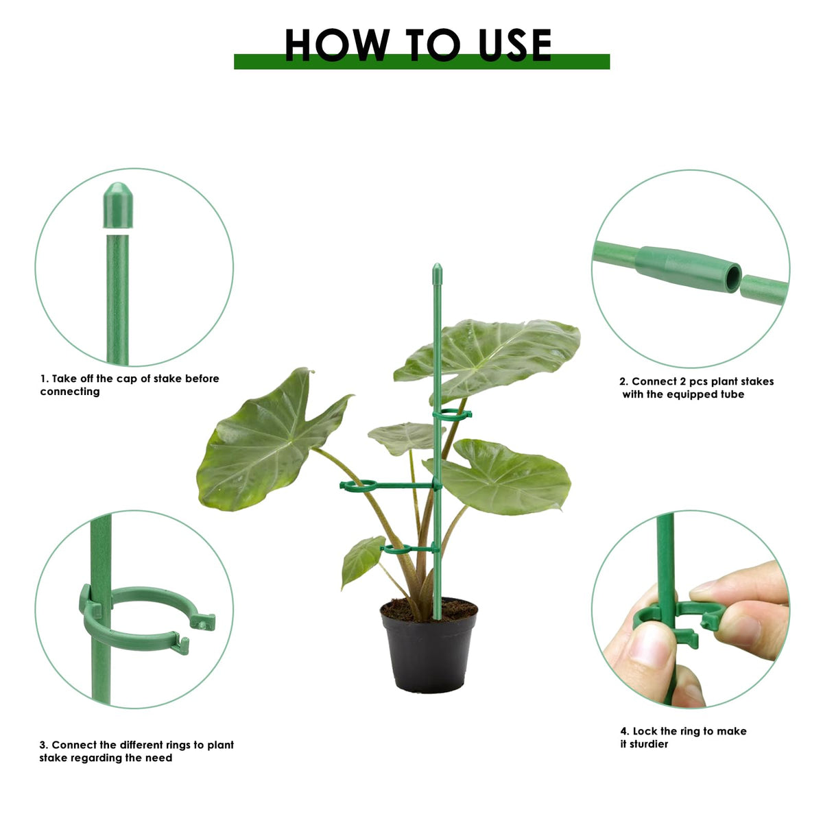 Buaszay connector tube extends stakes to 2 or 3 feet for full growth progression.