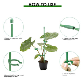 Buaszay connector tube extends stakes to 2 or 3 feet for full growth progression.