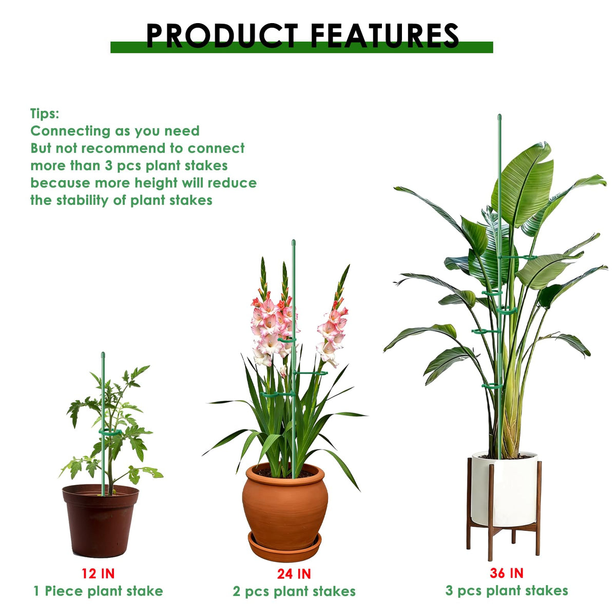 Buaszay green fiberglass stake is lightweight yet durable for lasting garden use.