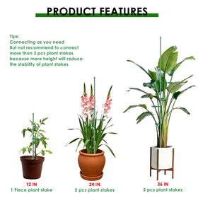 Buaszay green fiberglass stake is lightweight yet durable for lasting garden use.