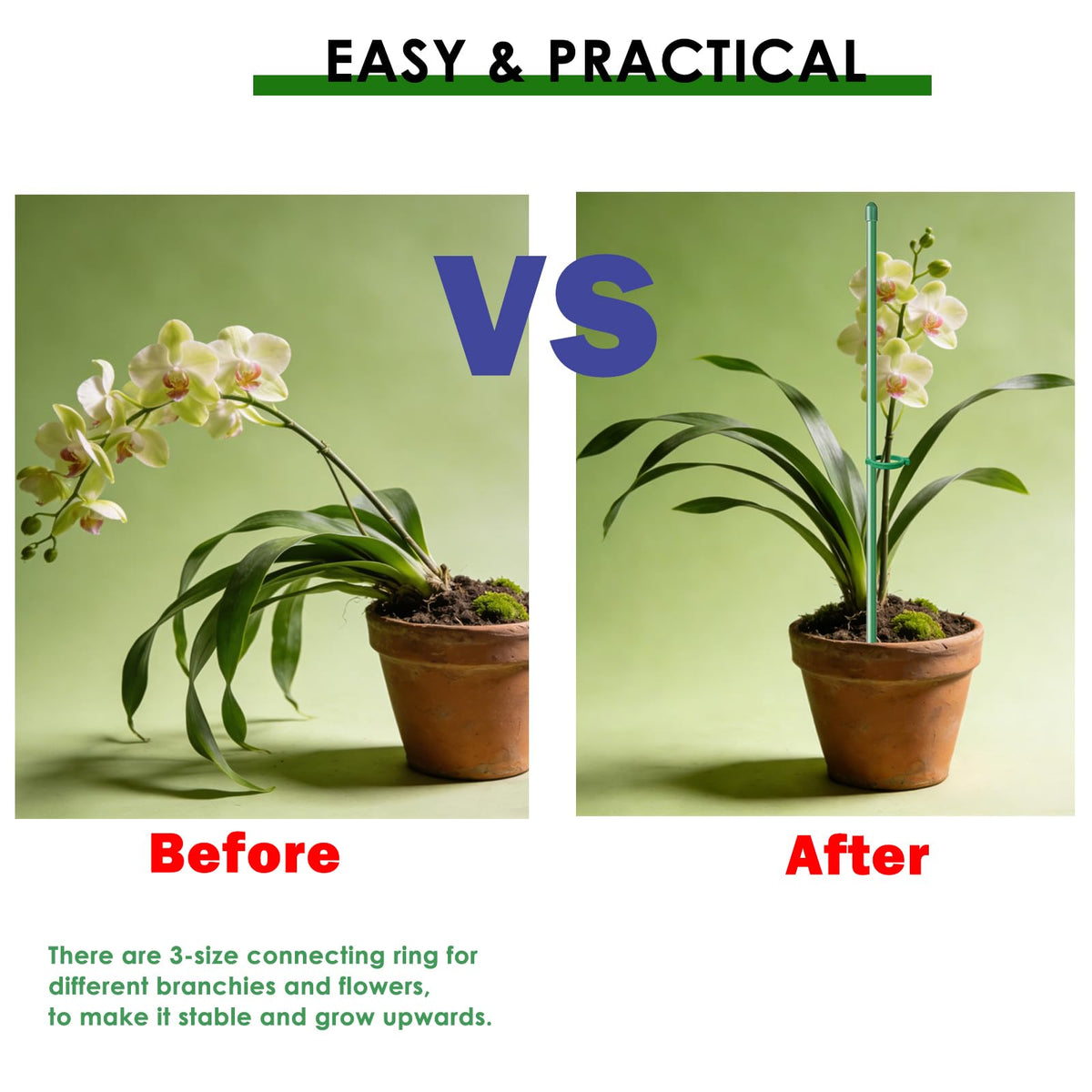 Buaszay orchid, rose, and tomato supports with rings resist bending during growth.