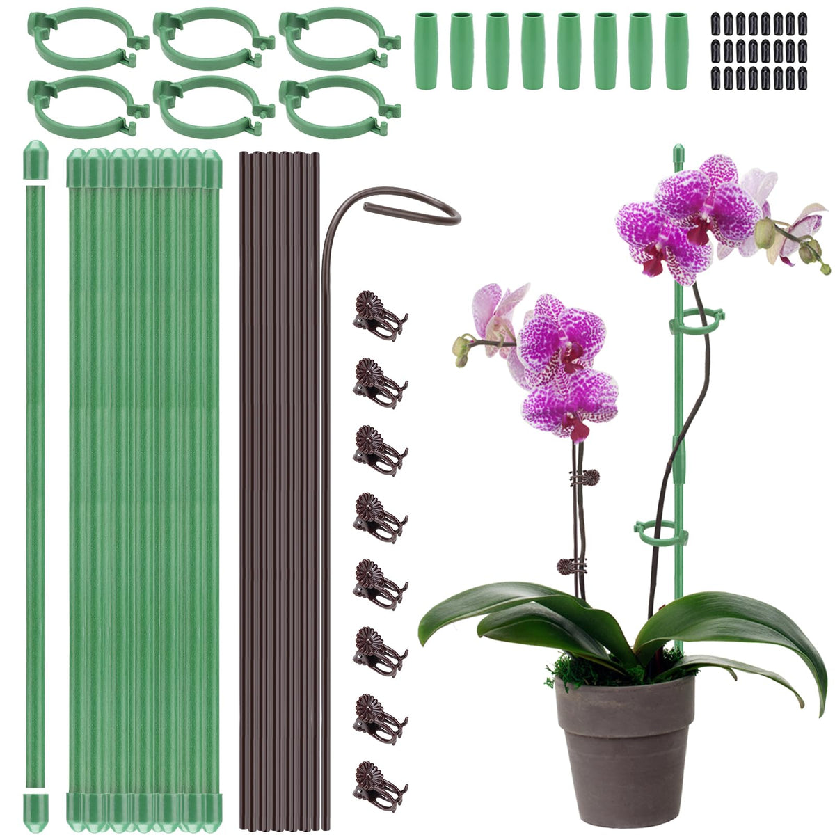 Buaszay plant stake kit 12-inch extensions for longer supports in indoor and outdoor pots