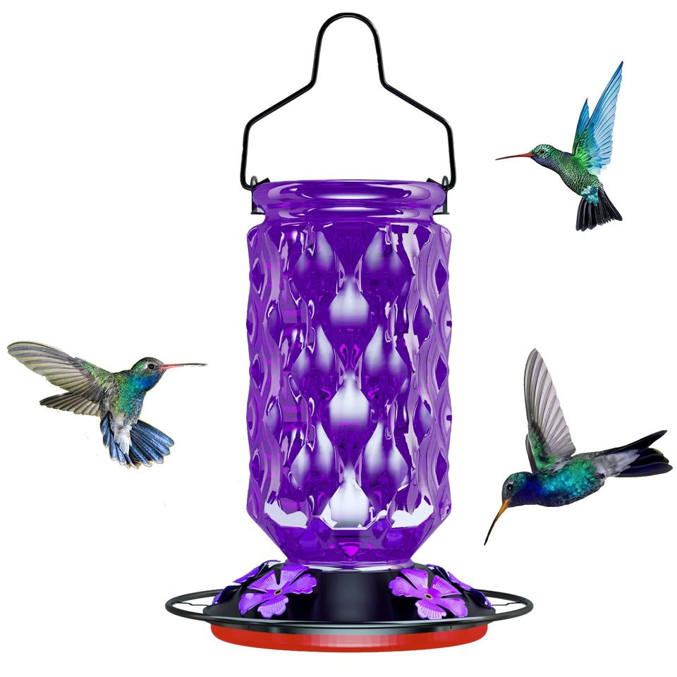 Bublador 24oz glass hummingbird feeder outdoors attracting multiple hummingbirds.
