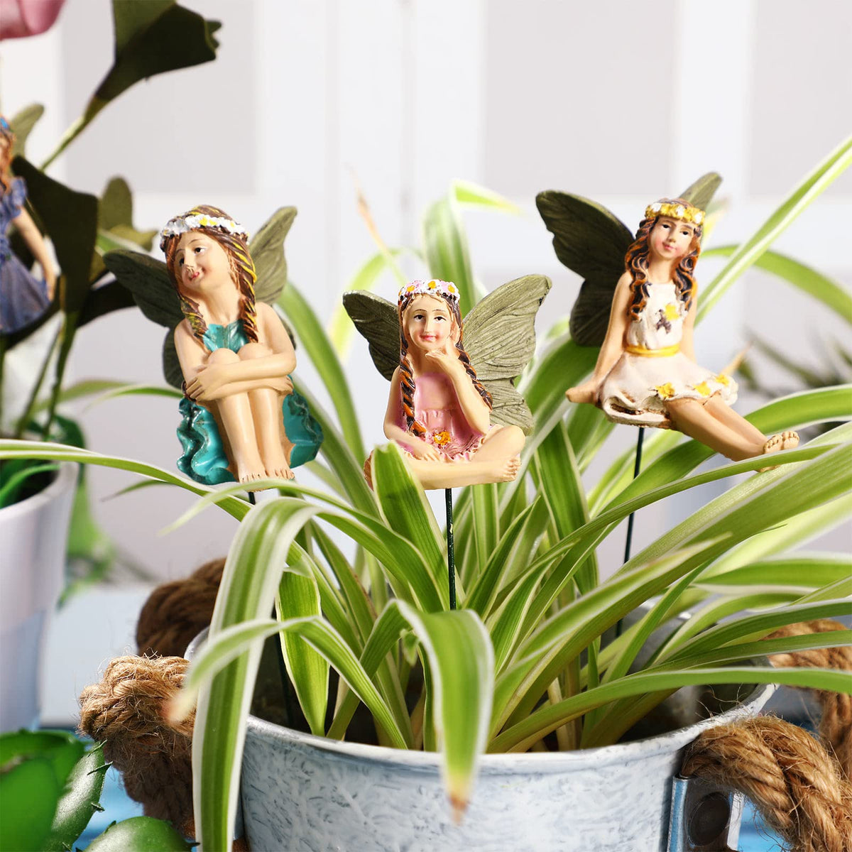 Six Bucherry fairy styles showcased for varied decorative moods