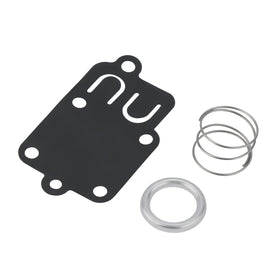 Buckbock durable kit components for carburetor rebuilds.