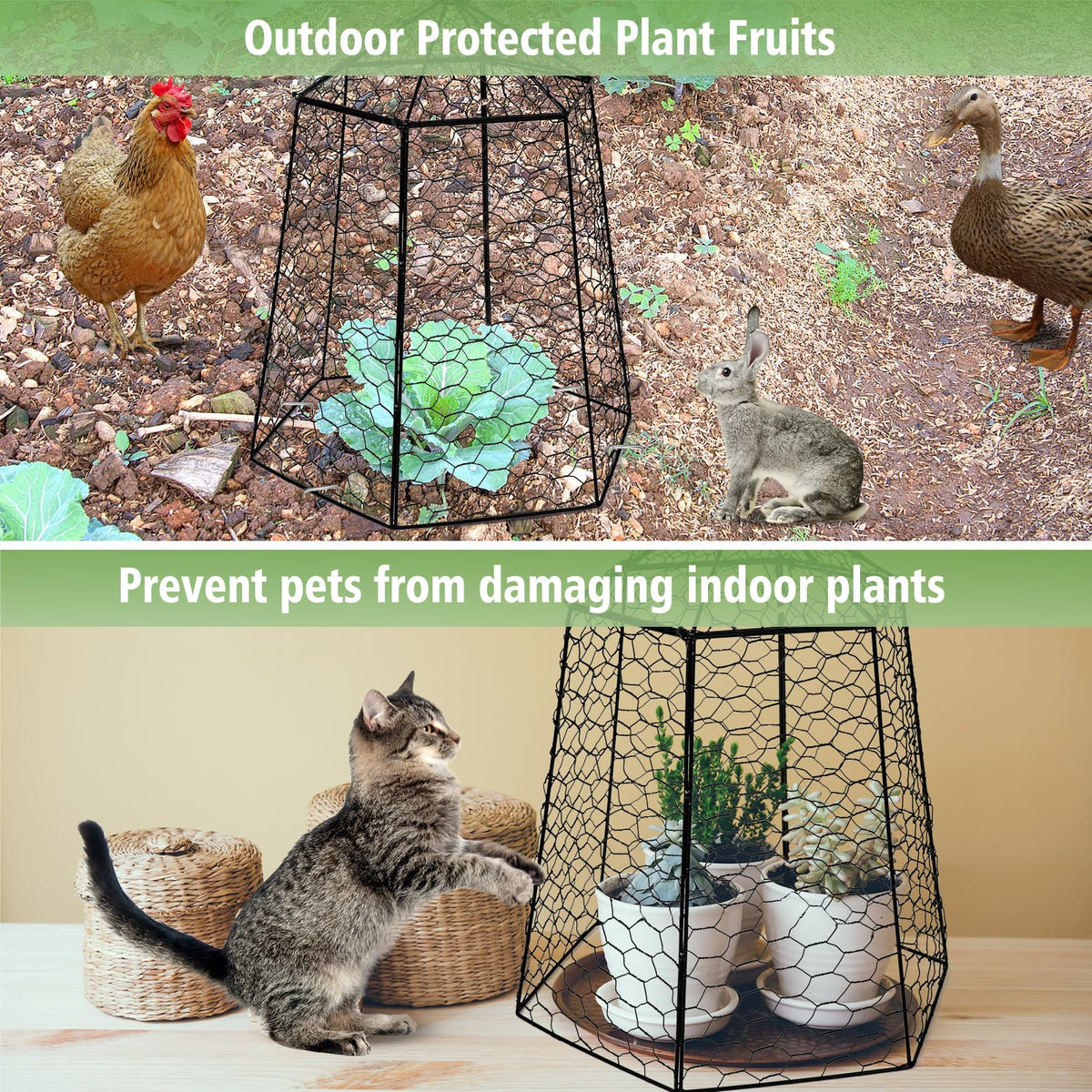 Budiwati ground plug system secures cages to soil for stable protection.
