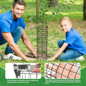 Budiwati 6-piece kit-ready protection for taller trees when pieces overlap.