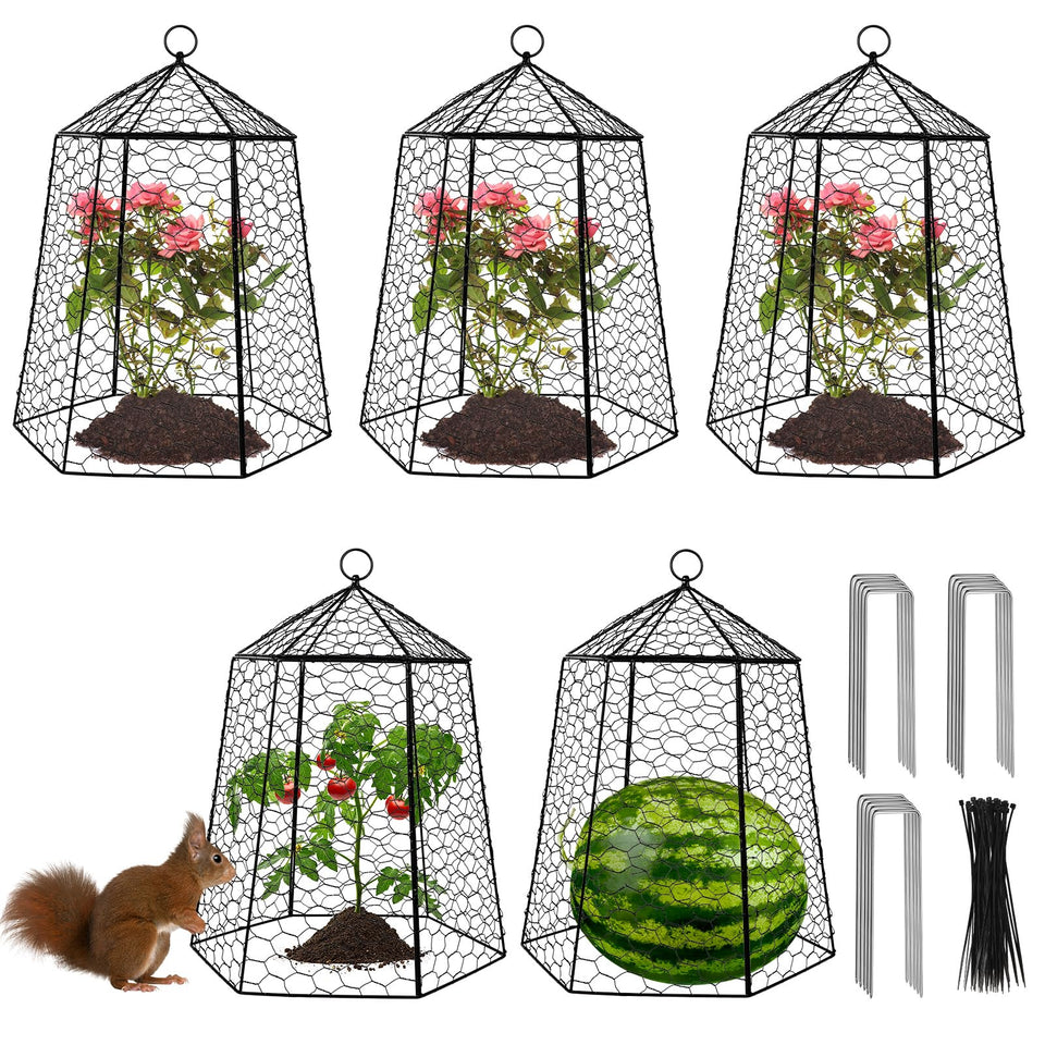 Budiwati protective cage assembly around a tomato plant in the garden.