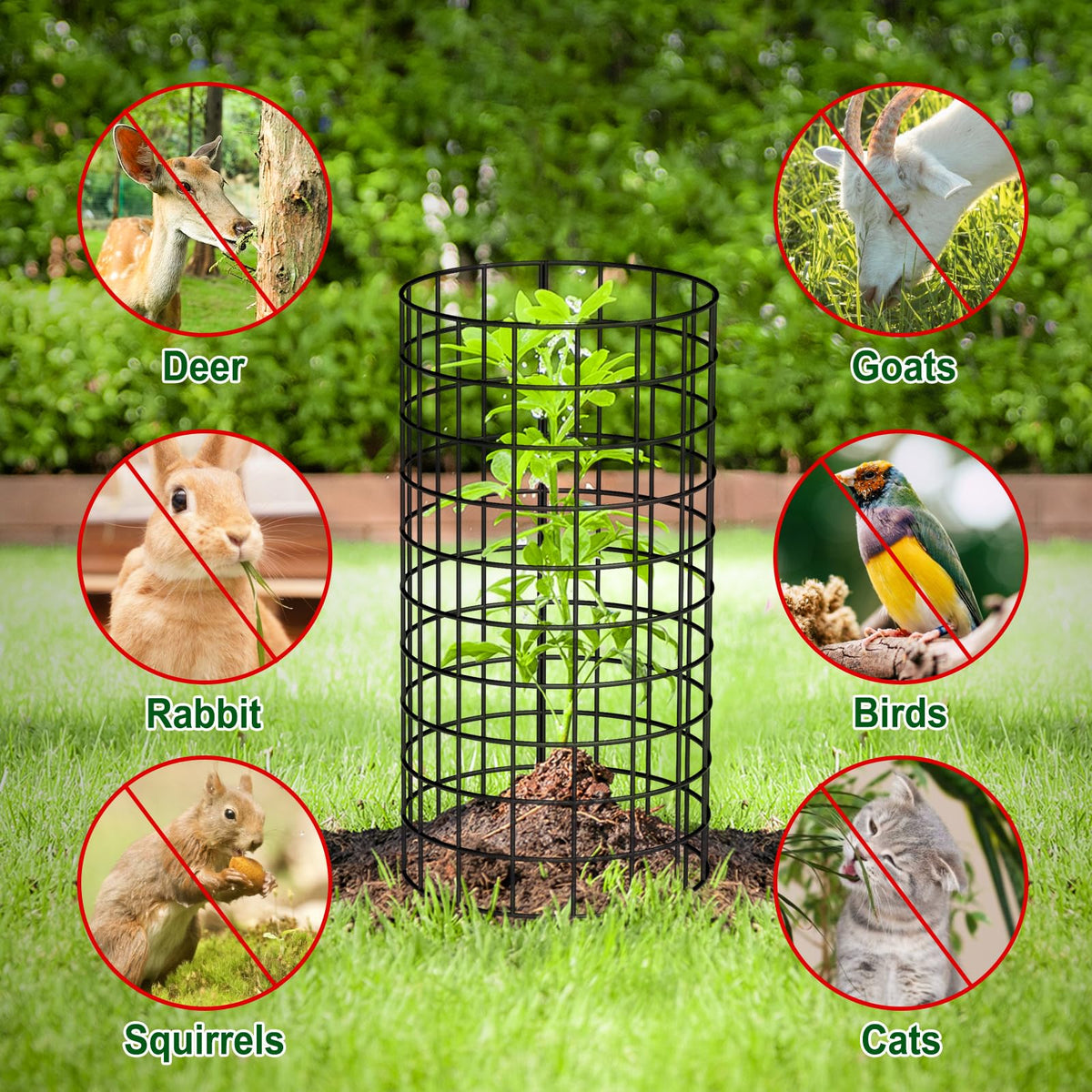 Budiwati trunk protector in use protecting a fruit tree from animals.