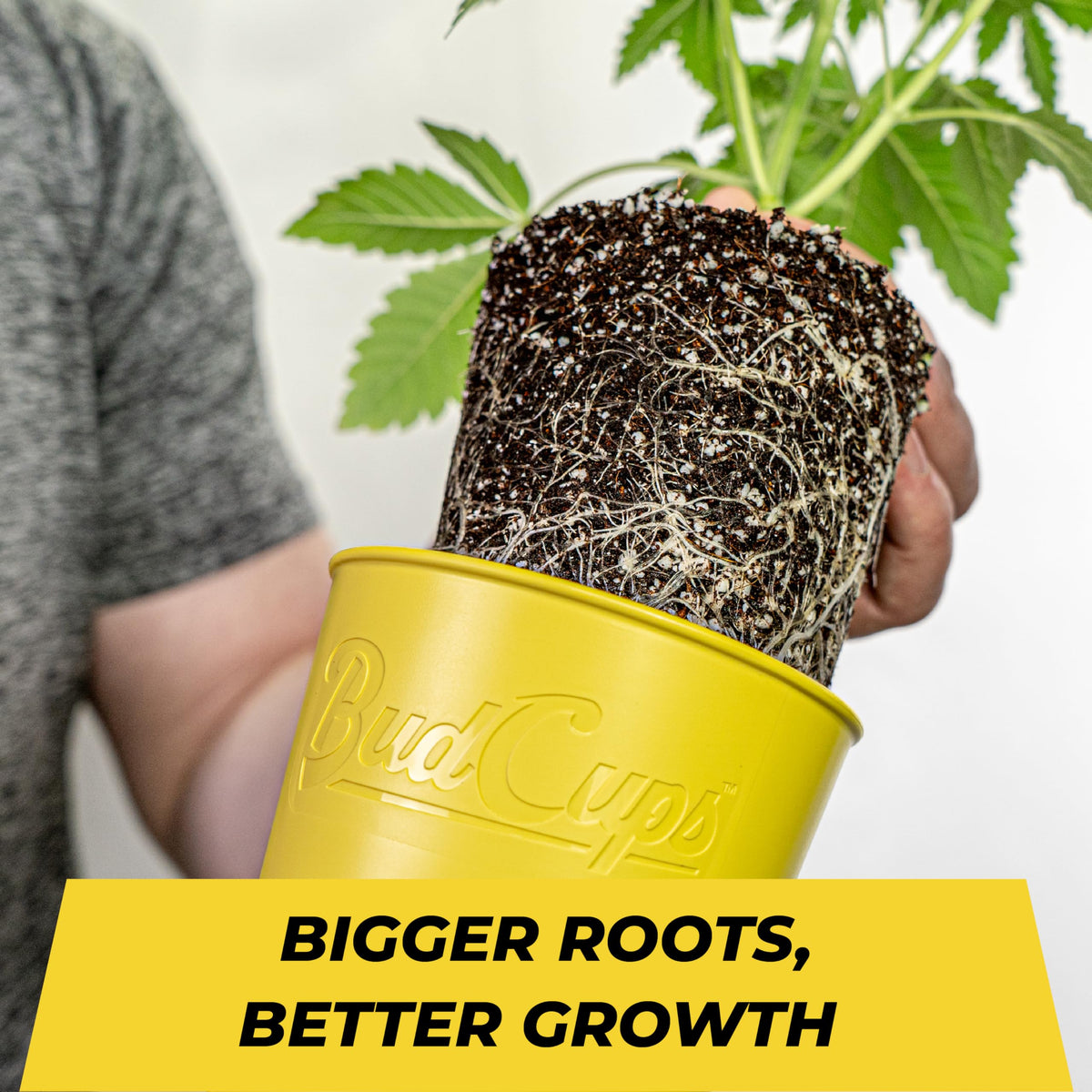 BudTrainer BudCups 4-pack of plant pots for versatile setups