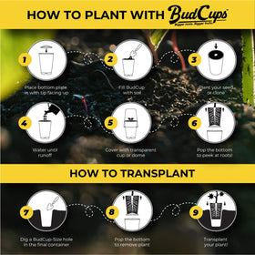 BudTrainer BudCups durable, reusable nursery pots for seasons of use
