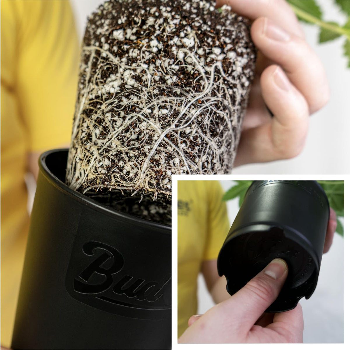 BudTrainer BudCups with removable bottom plate for stress-free transplanting