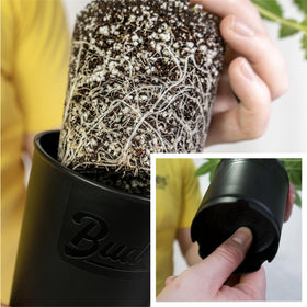 BudTrainer BudCups with removable bottom plate for stress-free transplanting