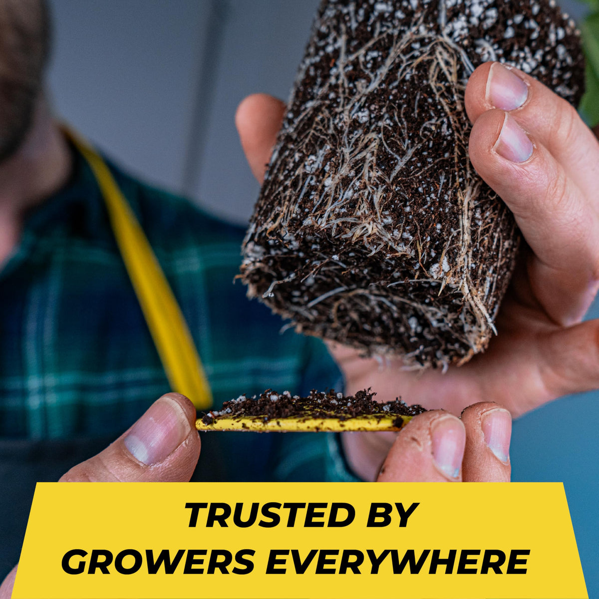 BudTrainer BudCups promote root health through controlled drainage