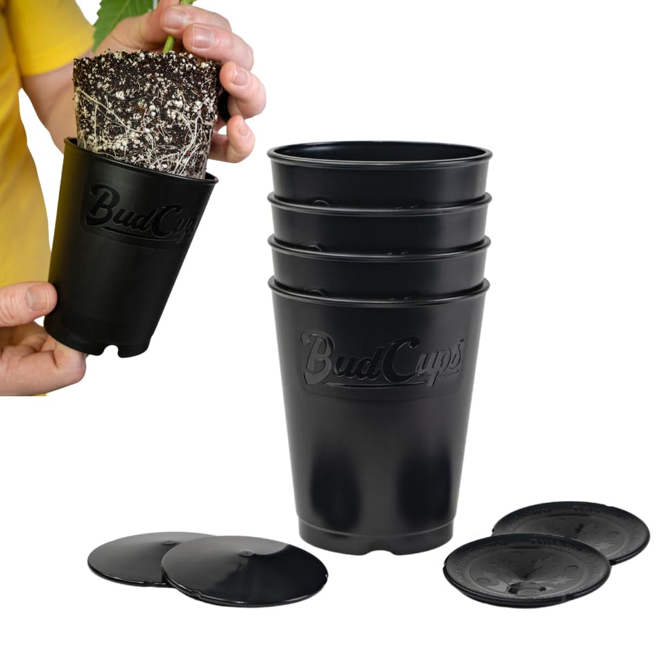 BudTrainer BudCups showing triple drainage for healthy, well-balanced roots