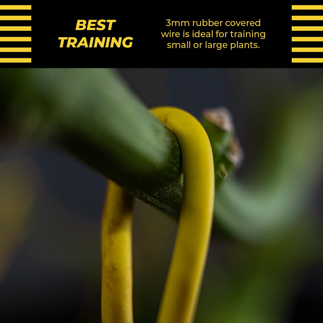 BudTrainer BudHuggers yellow canopy training for better airflow and light exposure