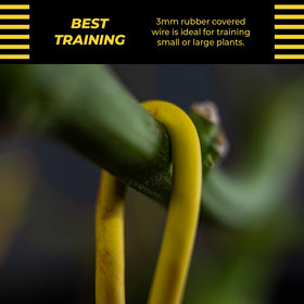 BudTrainer BudHuggers yellow canopy training for better airflow and light exposure