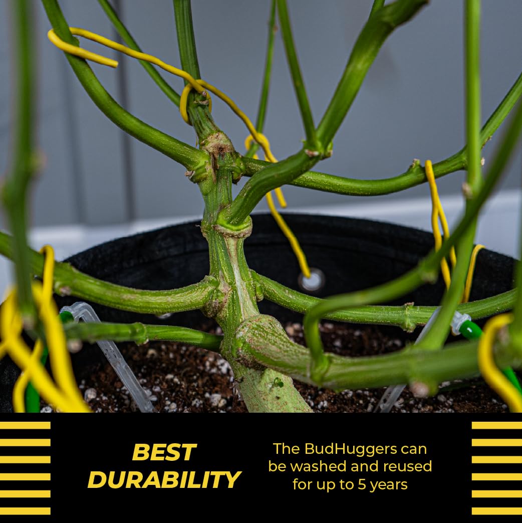 BudTrainer BudHuggers yellow flexible ties ideal for canopy shaping