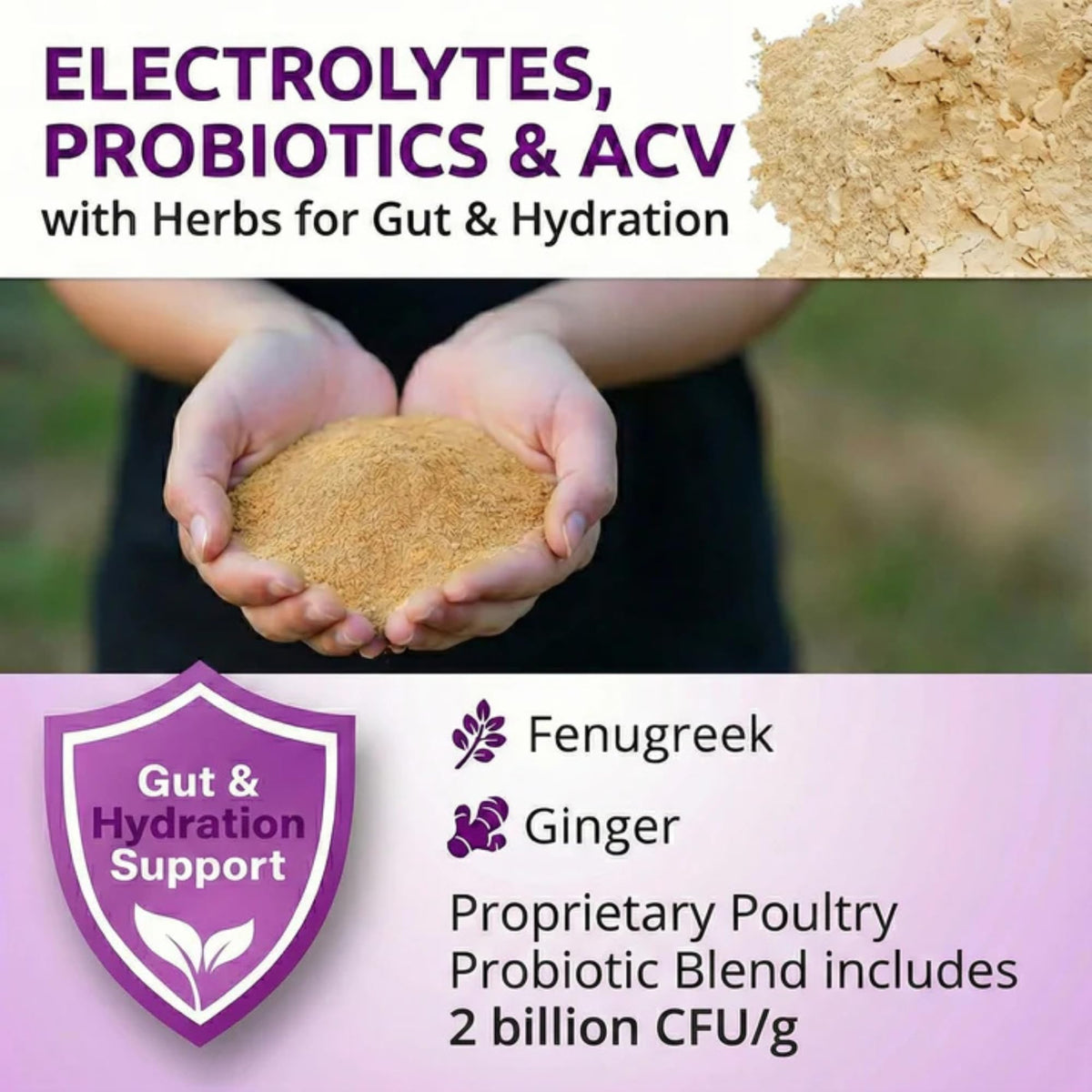 Buff Clucks AquaBoost electrolyte-blend supports energy and balance
