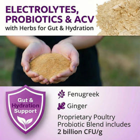 Buff Clucks AquaBoost electrolyte-blend supports energy and balance