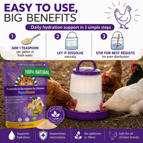 Buff Clucks AquaBoost safe-for-all-poultry ensures broad compatibility