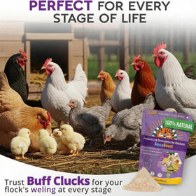 Buff Clucks AquaBoost USA-made badge highlights small-batch quality