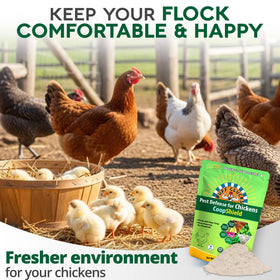 Buff Clucks coop scene with fresh herb scent enhancing the atmosphere.