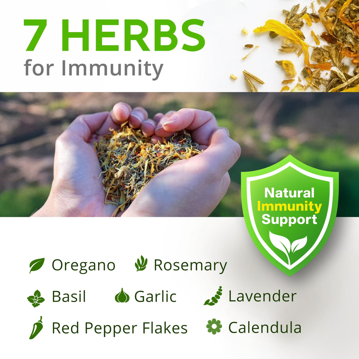 Herbs sprinkled in a dust bath for coop freshness with Buff Clucks.