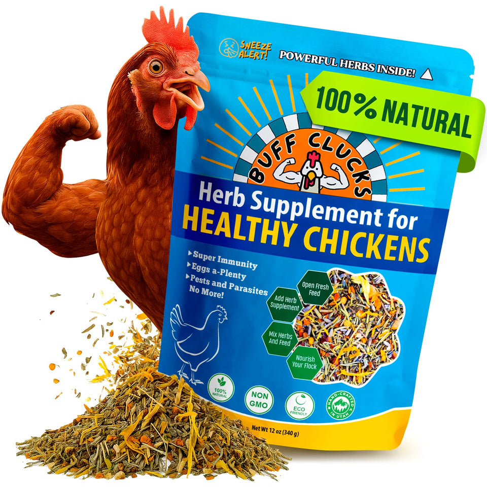 Buff Clucks herb supplement bag with premium, non-GMO ingredients for flock wellness.