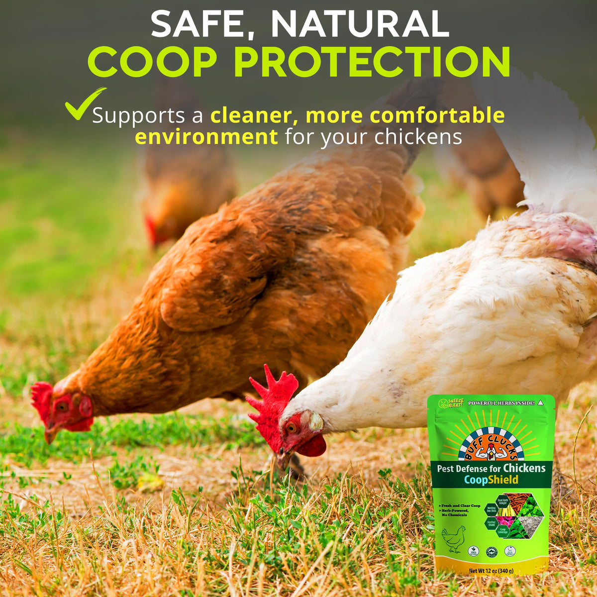 Buff Clucks nesting herbs spread under feathers for gentle natural care.