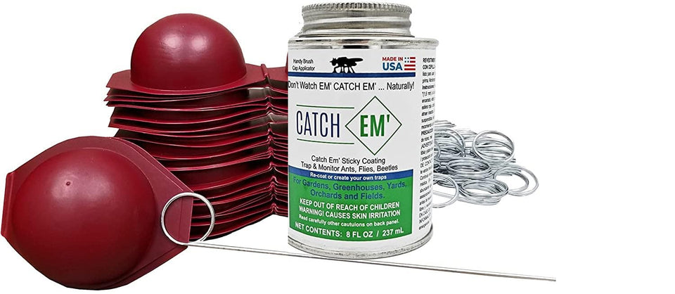 Bug Ball Apple Maggot Trap Deluxe Kit pack twelve protects apples from maggot damage.