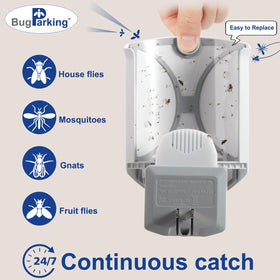 Close-up of the sticky glue board on a Bug Parking refill