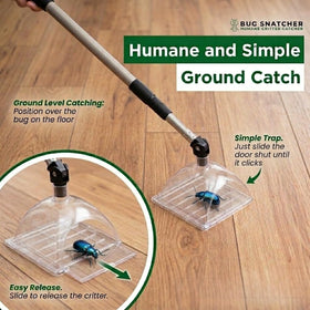 Bug Snatcher clear trap lets you identify bugs before relocation.
